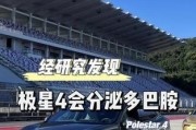 极星手机充电器使用中常见问题有哪些？