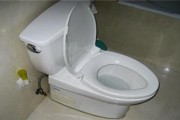 以箭牌马桶底部漏水原因分析及维修方法（解决马桶底部漏水的有效措施和技巧）