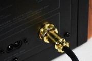 流动电影专用音箱的正确使用方法是什么？使用中常见问题有哪些？