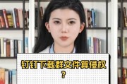 电脑平板钉钉怎么下载不了？解决方法是什么？