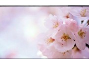 复印机报错pf的原因及解决方法（深入了解pf报错的常见原因）