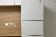 冰箱漏水的影响及应对措施（冰箱漏水对家居环境的影响及漏水原因分析）