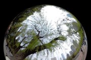 荣耀3D全景手机壳的使用方法是什么？如何拍摄全景照片？