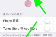 苹果蓝牙自动刷屏器设置步骤是什么？
