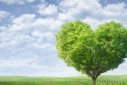 怎么保持心理健康（15个简单有效的心理状态调节方法）
