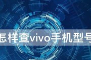 揭秘vivo手机使用时长（通过怎样查看手机使用时长来了解vivo用户的习惯）