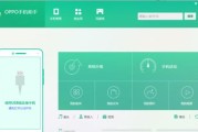手机上网的便利与风险（探索移动互联网世界，应对网络安全挑战）