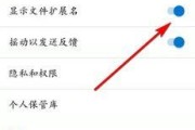 揭秘文件后缀名隐藏的秘密（隐藏文件后缀名的危害及打开方法）