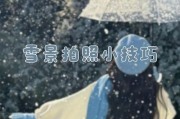 情侣在雪地里用手机怎么拍出好照片？技巧有哪些？