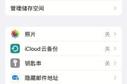 iPad系统占用空间过大怎么办？如何有效释放存储空间？