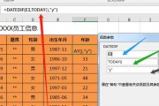 接下来，我们可以根据需要填充、段落和总结。