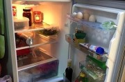 冰箱易腐食品保鲜的难题（分析冰箱不易放的原因与解决方法）