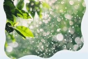 外卖商家如何回复好评以提升顾客满意度？优美语句有哪些？
