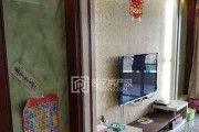 普宁滚筒洗衣机清洗的价格和方法（帮您了解普宁滚筒洗衣机清洗的费用和如何正确操作）