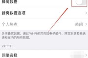 如何在苹果设备上设置中文语言？（简单步骤帮助您设置苹果设备的语言为中文）