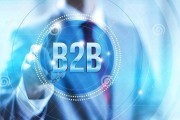 B2B推广网站的关键策略和实施方法（提高销售和扩大市场份额的必备工具）