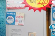 探究以史密斯热水器显示F0故障的原因及解决方法（揭开F0故障）