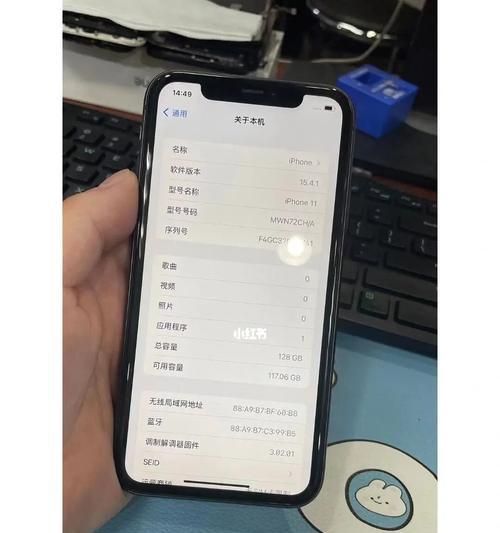 如何准确分辨不同型号的iPhone？（掌握iPhone型号号码解读方法，轻松辨识手机版本）