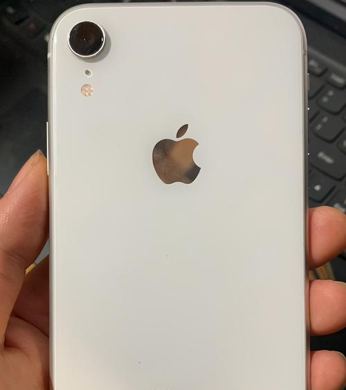 如何准确分辨不同型号的iPhone？（掌握iPhone型号号码解读方法，轻松辨识手机版本）