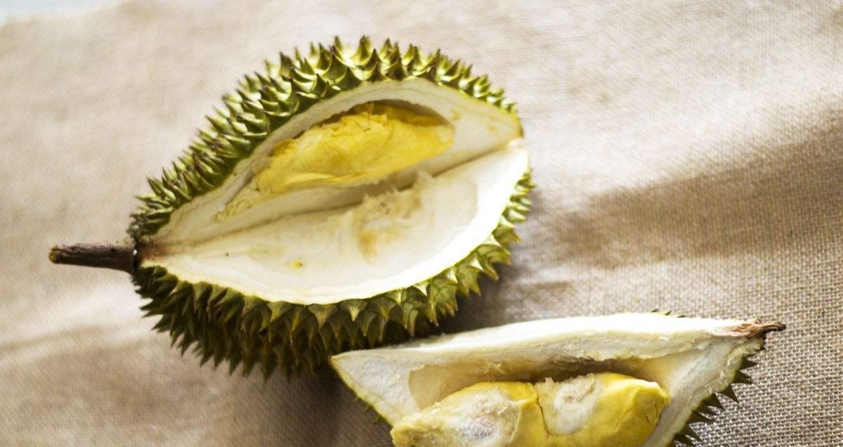 榴莲为什么那么贵（揭秘榴莲的真正价值）