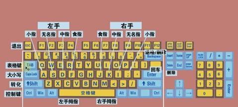 快速学会电脑打字的技巧（从零开始）