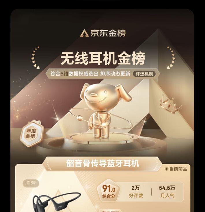 耳机品牌排行榜2024年前十名揭晓（耳机品牌大比拼）