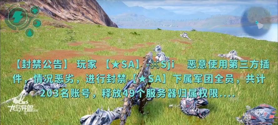 如何进入龙岛服务器进行游戏？