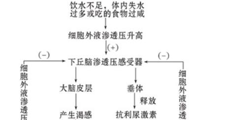 热水器限压限流如何调节？调节过程中需要注意什么？