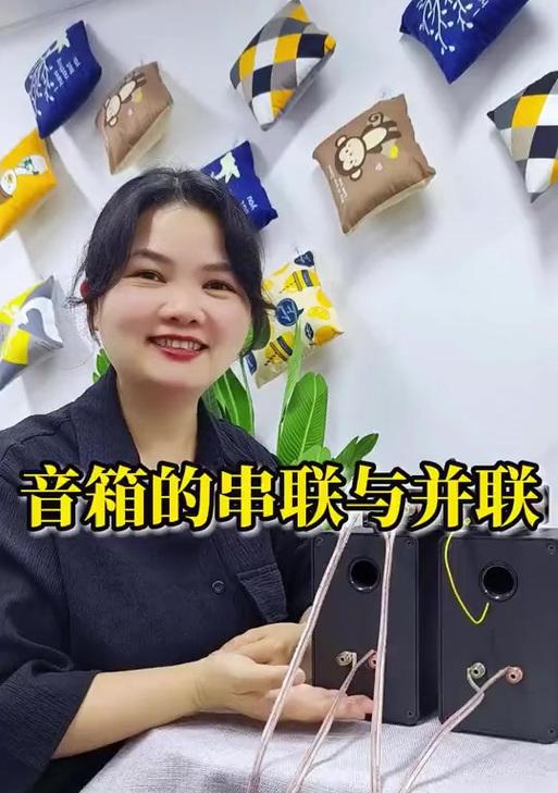 音箱多台串联接法及注意事项有哪些？